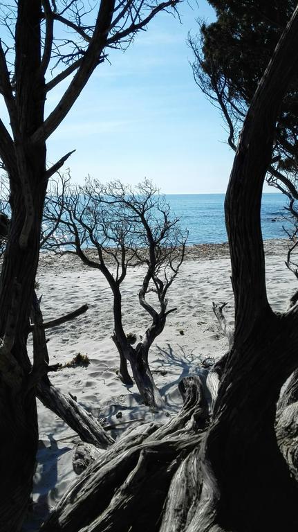 Appartamento Zefiro Iun P2016 Cala Liberotto Esterno foto