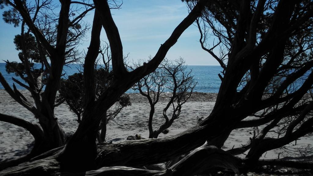 Appartamento Zefiro Iun P2016 Cala Liberotto Esterno foto